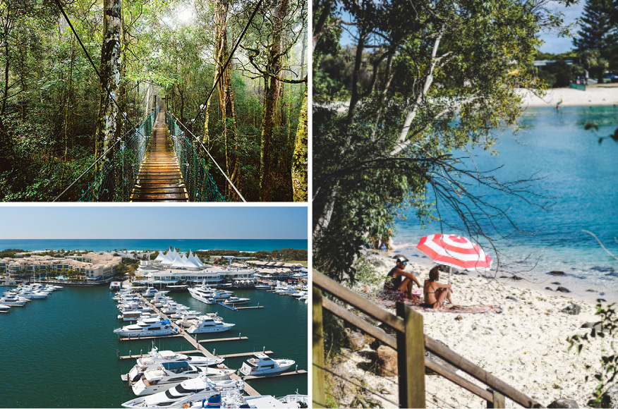 Gold Coast Lifestyle, Tallebudgera Creek, O'Reilly's Rainforest Retreat, Marina Mirage